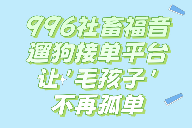 还在为遛狗发愁？爱狗人士能兼职？遛狗接单平台来帮忙！