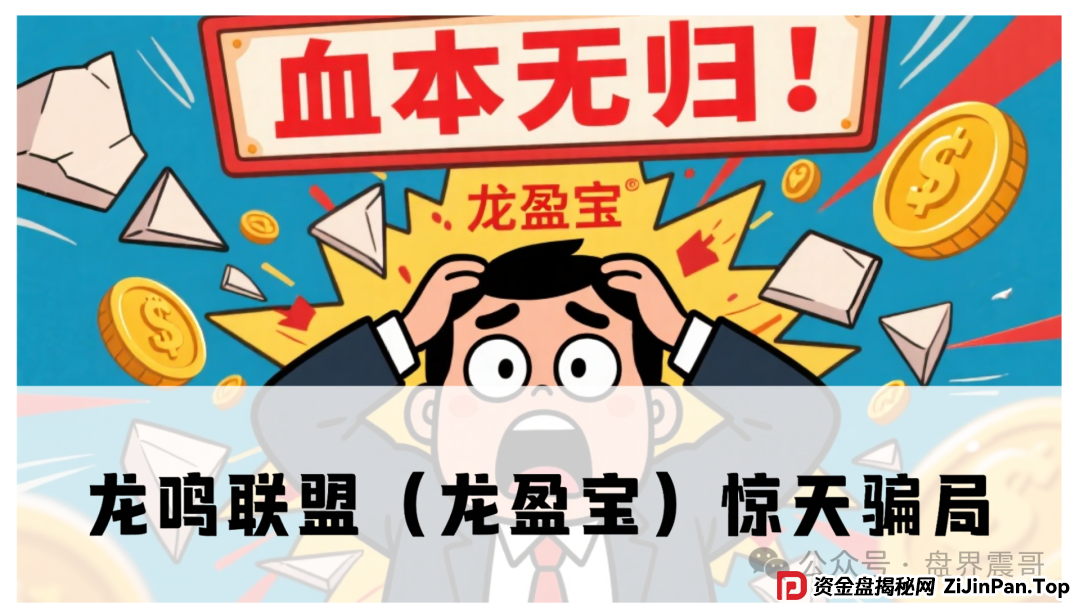 龙鸣联盟（龙盈宝）惊天骗局！震哥带你扒光操盘手的套路，再不跑就来不及了