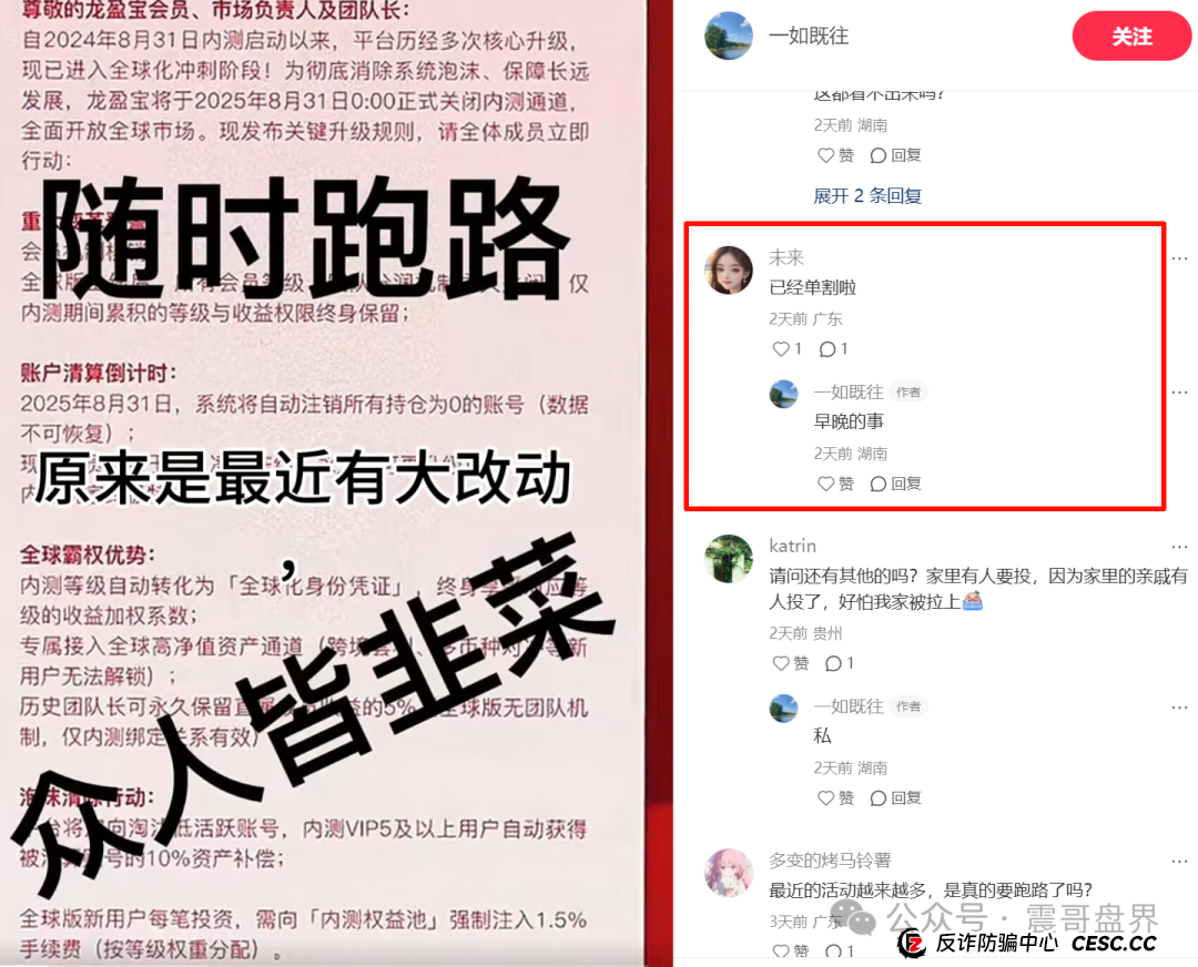 龙鸣联盟（龙盈宝）即将崩盘，震哥带你扒一扒这个专坑人的资金