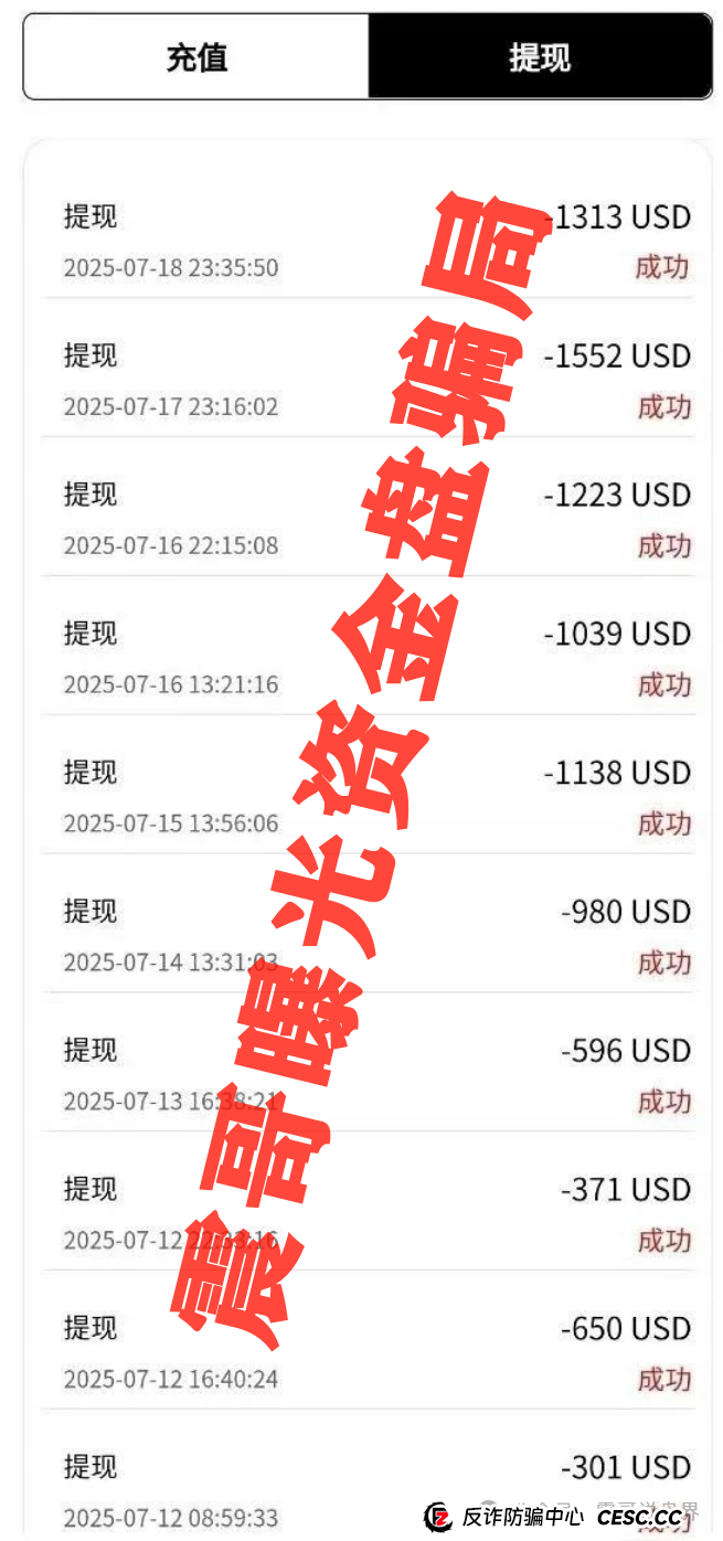 震哥带你扒皮“DFAI”资金盘：这玩意儿到底靠不靠谱？