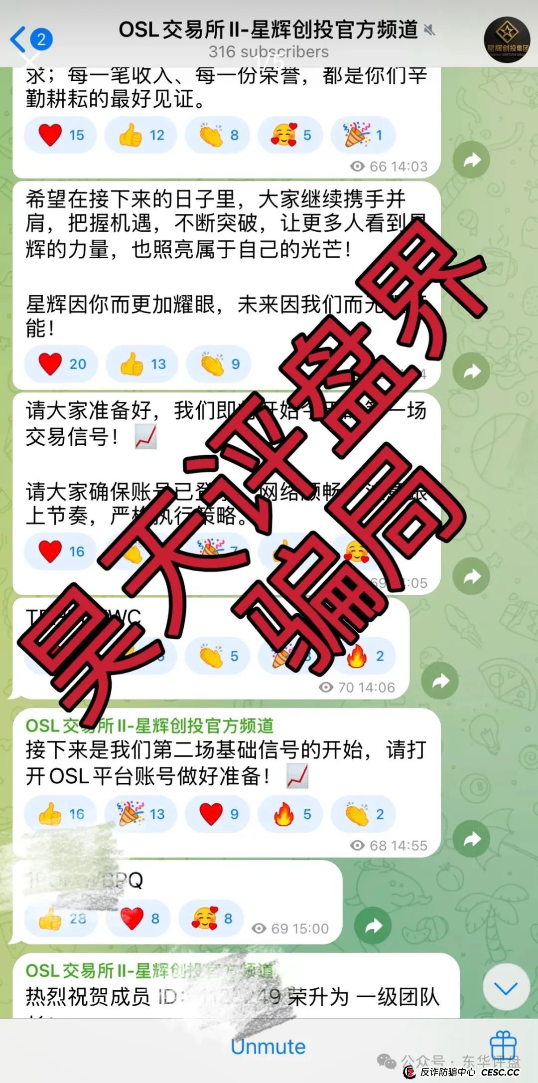 星辉创投OSL交易所跟单类资金盘骗局，原ABCC交易所诈骗团伙开的一轮圈韭菜盘，高度预警，看见一定要远离！