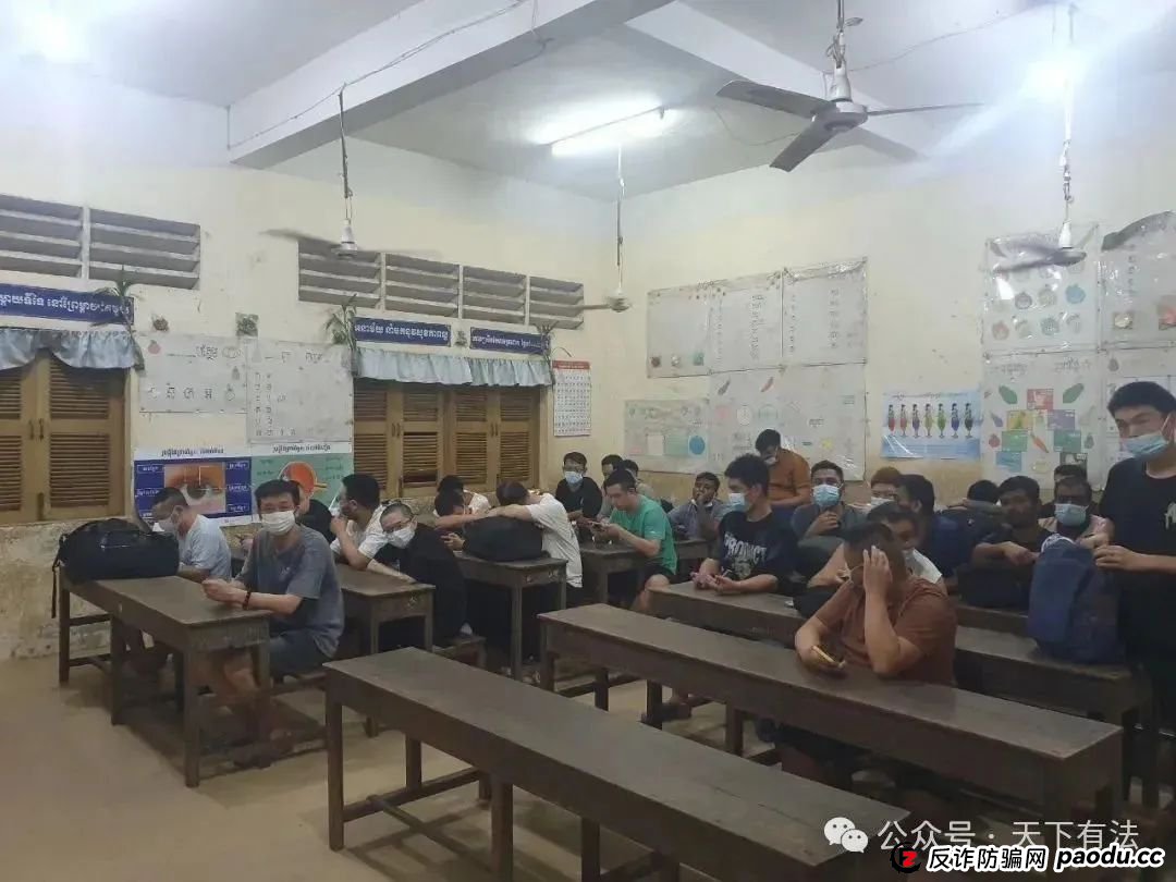 场面震撼!柬埔寨电诈园区上演集体大逃亡! 场面震撼!柬埔寨电诈园区上演集体大逃亡!