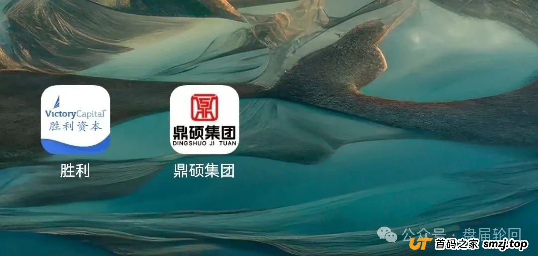 【胜利资本】鼎硕集团股票跟单骗局 已经单割 马上全线崩盘