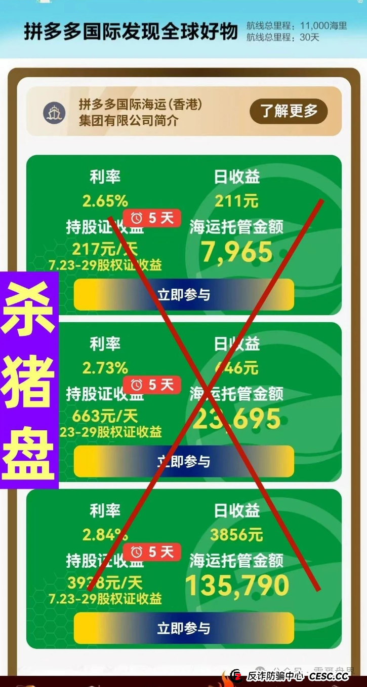 拼多多国际版(TEMU国际)骗局大揭秘!震哥带你扒光它的皮! 拼多多国际版(TEMU国际)骗局大揭秘!震哥带你扒光它的皮!