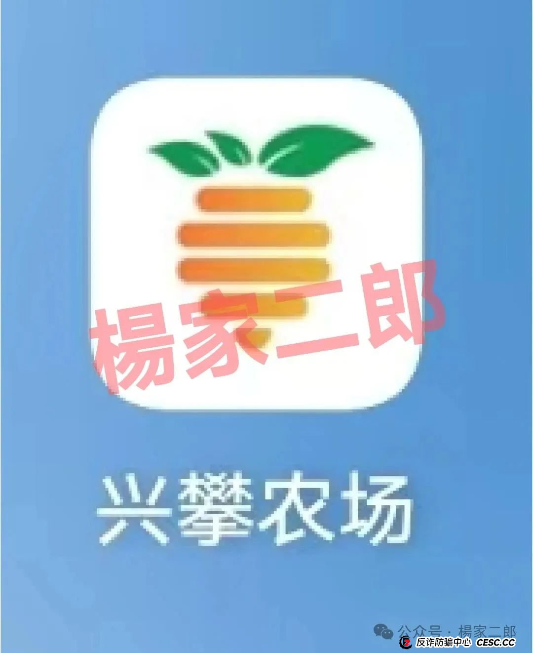 欲哭无泪！无数家庭积蓄被“兴攀农场”洗劫一空，崩盘已成定局！切