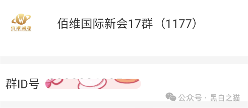 资金盘｜诈骗园区伪冒“斯特恩资本”，年底将至，请投资人赶紧提现下车......