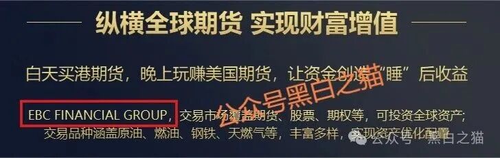资金盘｜诈骗园区虚构“鸿运万交所”，冒用柬埔寨歌手当创始人，伪造项目实施非法行为......