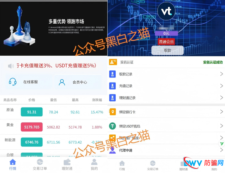 外汇盘｜境外“Vt Markets”遭仿冒，国内吸金不止，杀猪盘骗局又起......(4)