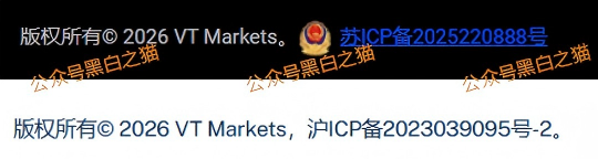 外汇盘｜境外“Vt Markets”遭仿冒，国内吸金不止，杀猪盘骗局又起......(2)