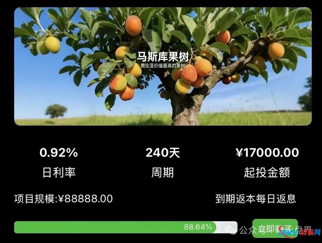 “华洋绿投”海外种果树资金盘骗局,专坑想赚快钱的普通人,随时崩盘跑路!(3) “华洋绿投”海外种果树资金盘骗局,专坑想赚快钱的普通人,随时崩盘跑路!(3)