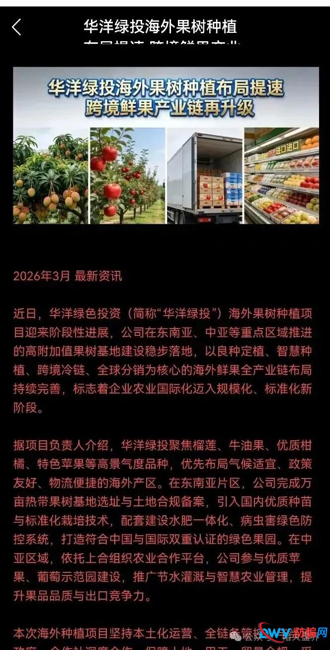 “华洋绿投”海外种果树资金盘骗局,专坑想赚快钱的普通人,随时崩盘跑路!(5) “华洋绿投”海外种果树资金盘骗局,专坑想赚快钱的普通人,随时崩盘跑路!(5)