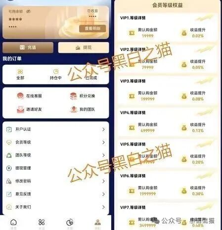四川一女子拉人“投资”虚拟币项目致200人损失1千余万元成为“网逃人员”落网！(2)