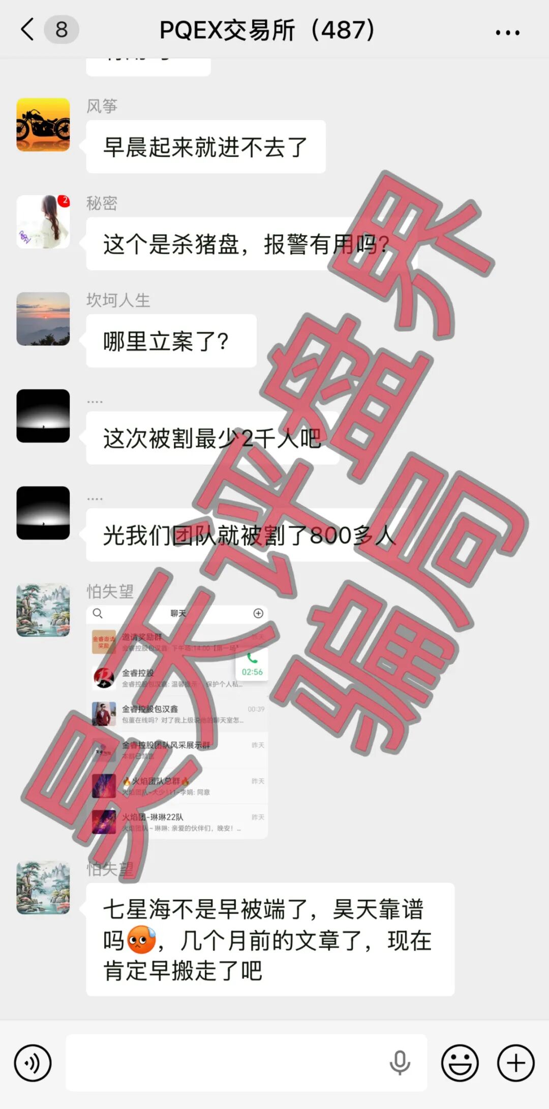 金睿控股PQEX交易所单割2000余人,换皮资金盘进入崩盘倒计时(1) 金睿控股PQEX交易所单割2000余人,换皮资金盘进入崩盘倒计时(1)